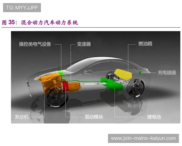 火箭发展蓝图:青年球员的持续成长将成为长期动力 火箭发展蓝图:青年球员的持续成长将成为长期动力